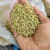 coriander seed image
